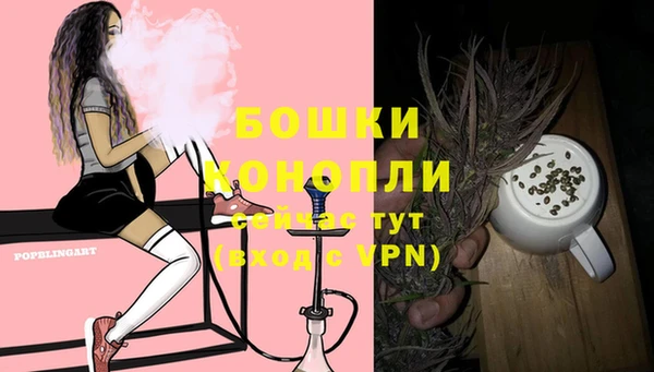 первитин Богданович