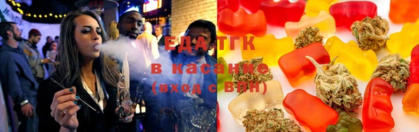 дмт Новозыбков